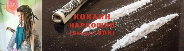 прущие грибы Козловка