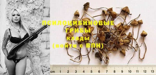 прущие грибы Козловка