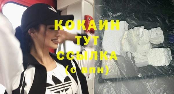 прущие грибы Козловка