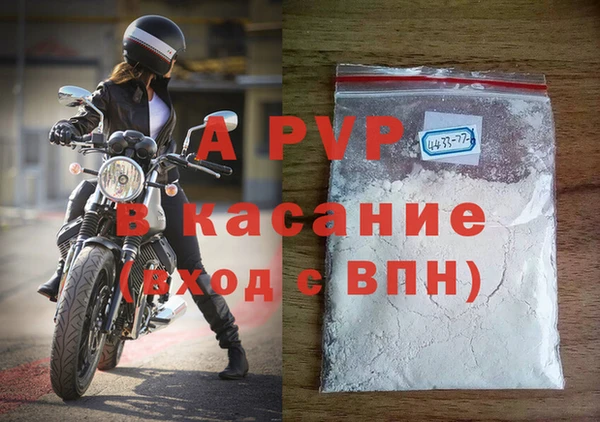 прущие грибы Козловка