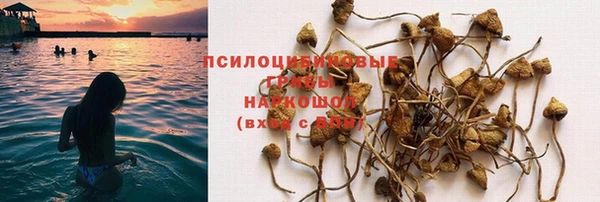 герыч Козельск