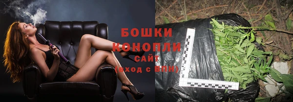 прущие грибы Козловка