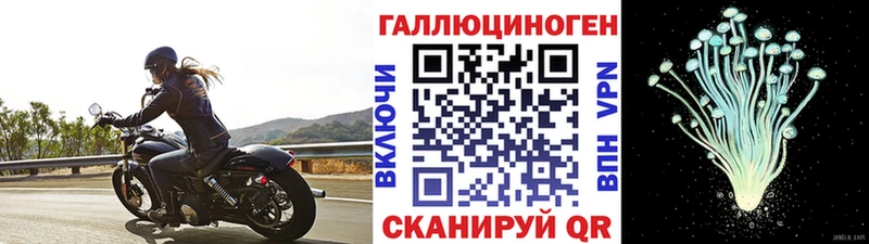 Галлюциногенные грибы Psilocybe  Купить  Мамадыш 